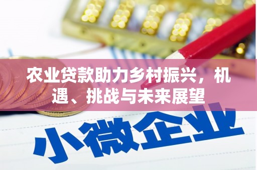 万年农业贷款助力乡村振兴，机遇、挑战与未来展望