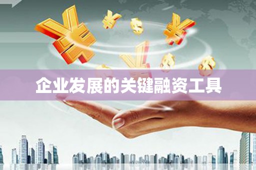 万年企业发展的关键融资工具
