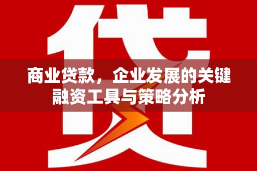 万年商业贷款，企业发展的关键融资工具与策略分析