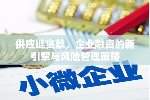 万年供应链贷款，企业融资的新引擎与风险管理策略