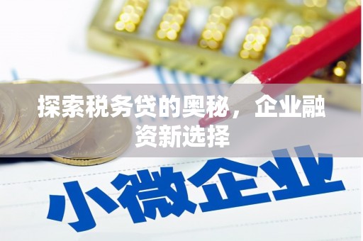 万年探索税务贷的奥秘，企业融资新选择