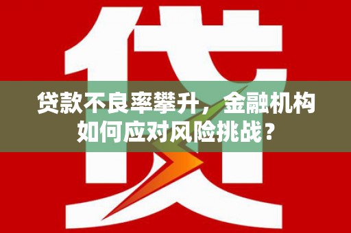 万年贷款不良率攀升，金融机构如何应对风险挑战？