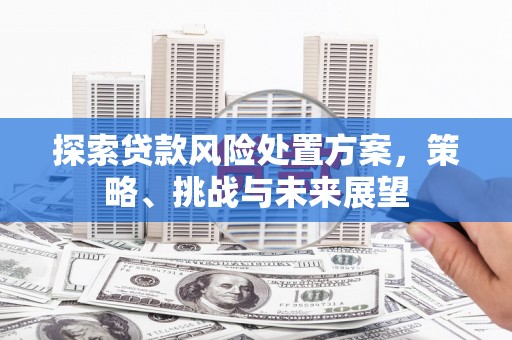 万年探索贷款风险处置方案，策略、挑战与未来展望