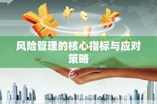 万年风险管理的核心指标与应对策略