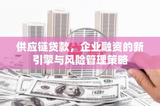 万年供应链贷款，企业融资的新引擎与风险管理策略