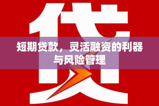 万年短期贷款，灵活融资的利器与风险管理