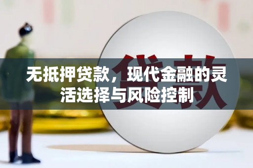 万年无抵押贷款，现代金融的灵活选择与风险控制