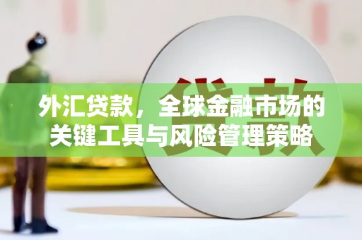万年外汇贷款，全球金融市场的关键工具与风险管理策略