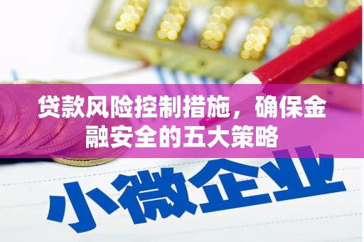 万年贷款风险控制措施，确保金融安全的五大策略