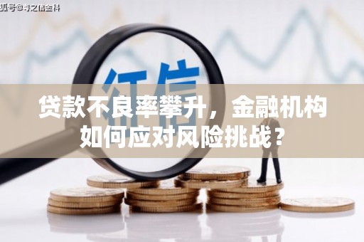 万年贷款不良率攀升，金融机构如何应对风险挑战？
