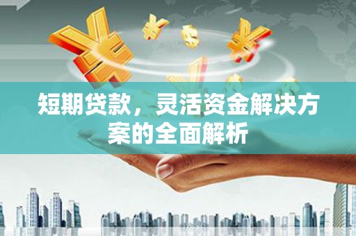 万年短期贷款，灵活资金解决方案的全面解析