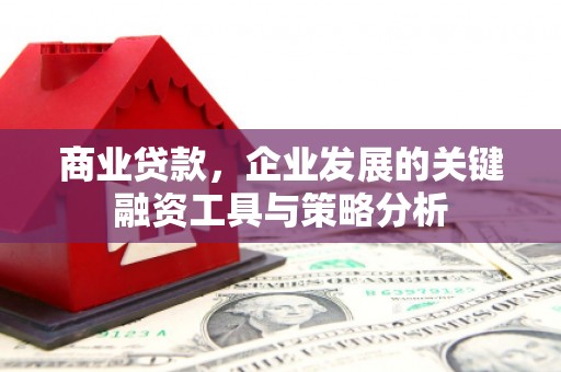 万年商业贷款，企业发展的关键融资工具与策略分析