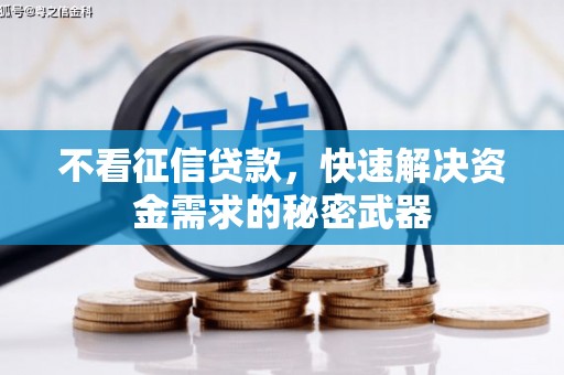 万年不看征信贷款，快速解决资金需求的秘密武器