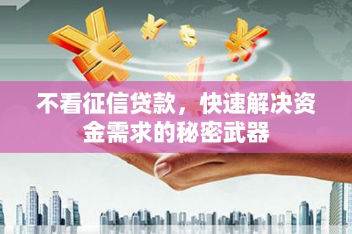 万年不看征信贷款，快速解决资金需求的秘密武器