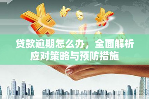 万年贷款逾期怎么办，全面解析应对策略与预防措施