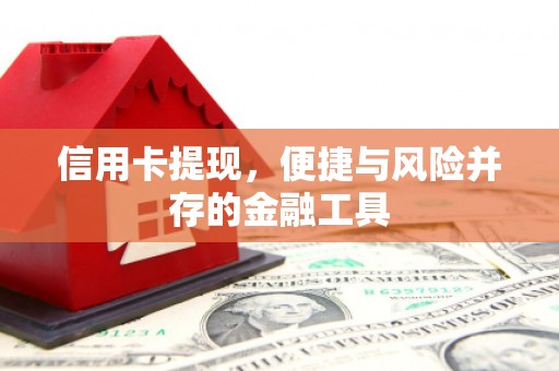 万年信用卡提现，便捷与风险并存的金融工具