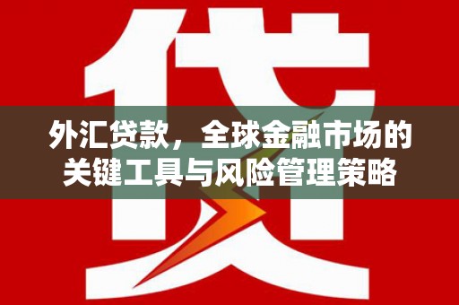 万年外汇贷款，全球金融市场的关键工具与风险管理策略