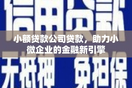 万年小额贷款公司贷款，助力小微企业的金融新引擎