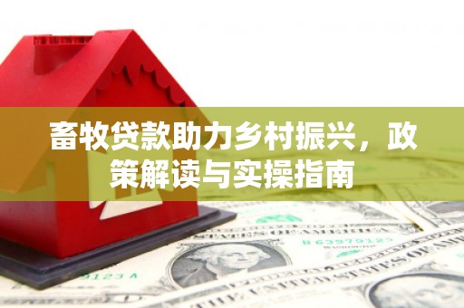 万年畜牧贷款助力乡村振兴，政策解读与实操指南