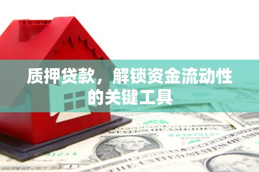 万年质押贷款，解锁资金流动性的关键工具