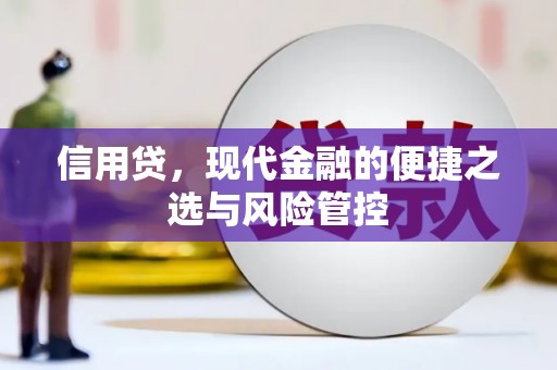 万年信用贷，现代金融的便捷之选与风险管控
