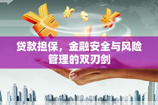 万年贷款担保，金融安全与风险管理的双刃剑