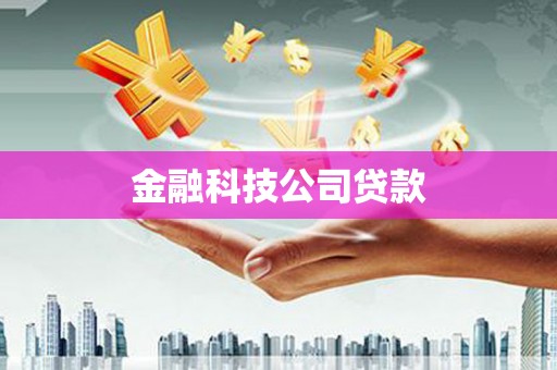 万年金融科技公司贷款