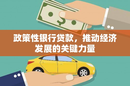 万年政策性银行贷款，推动经济发展的关键力量