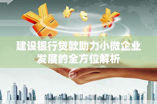万年建设银行贷款助力小微企业发展的全方位解析
