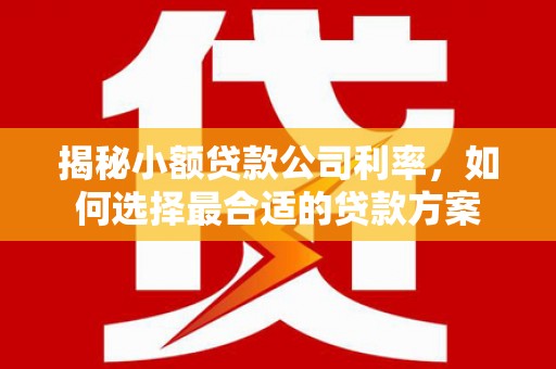 万年揭秘小额贷款公司利率，如何选择最合适的贷款方案
