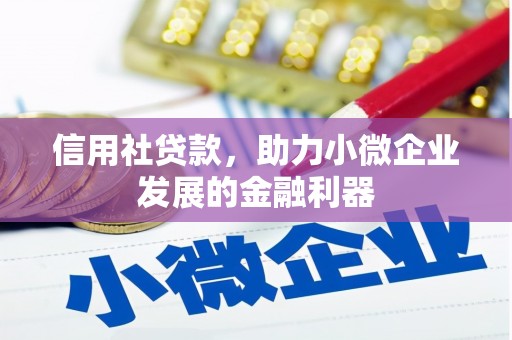 万年信用社贷款，助力小微企业发展的金融利器