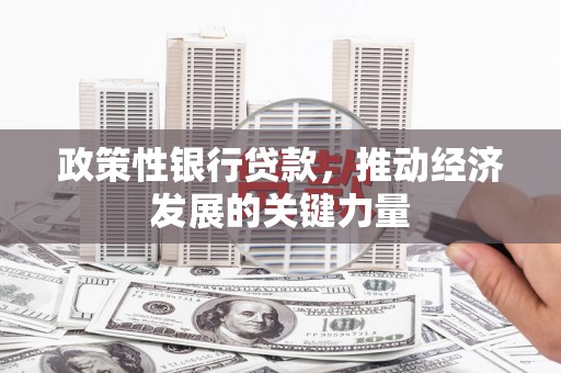 万年政策性银行贷款，推动经济发展的关键力量