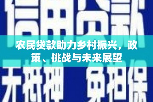 万年农民贷款助力乡村振兴，政策、挑战与未来展望