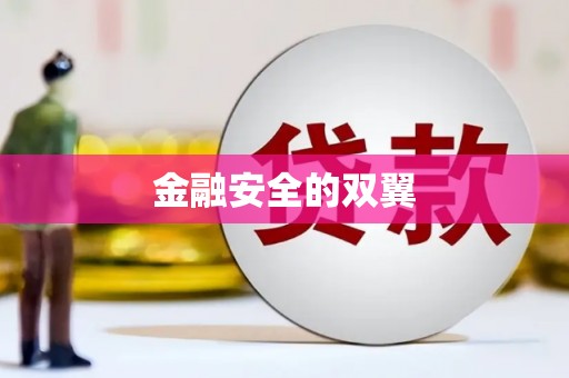 万年金融安全的双翼