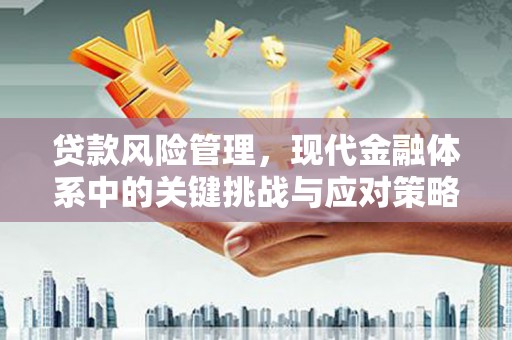 万年贷款风险管理，现代金融体系中的关键挑战与应对策略