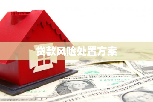 万年贷款风险处置方案