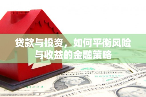 万年贷款与投资，如何平衡风险与收益的金融策略