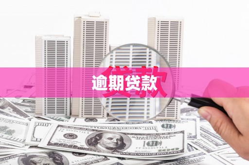 万年逾期贷款
