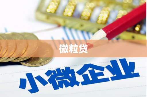 万年微粒贷