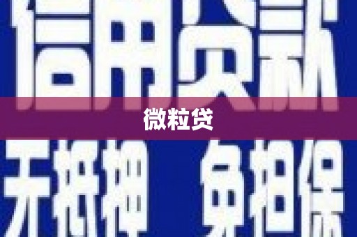 万年微粒贷