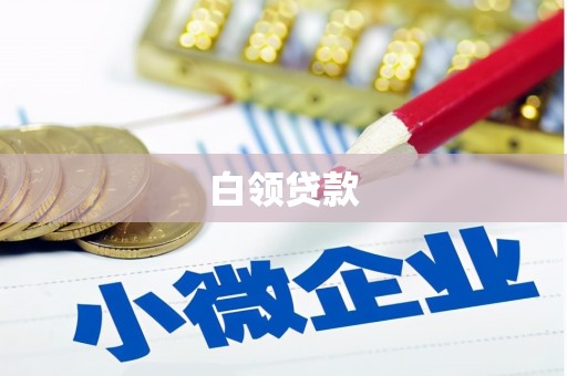 万年白领贷款