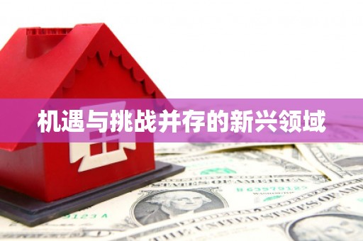 万年机遇与挑战并存的新兴领域