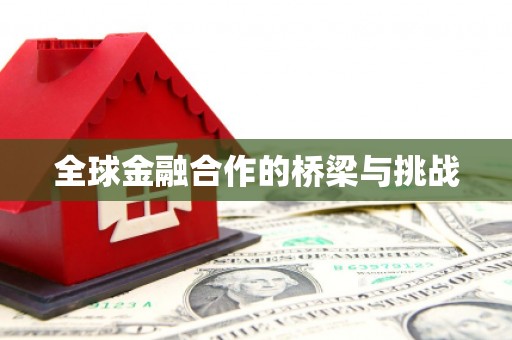 万年全球金融合作的桥梁与挑战